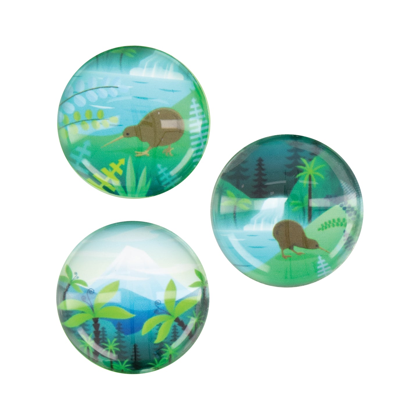 AMSKI - Acrylic Dome Magnet 3PK NZ Scene Kiwi