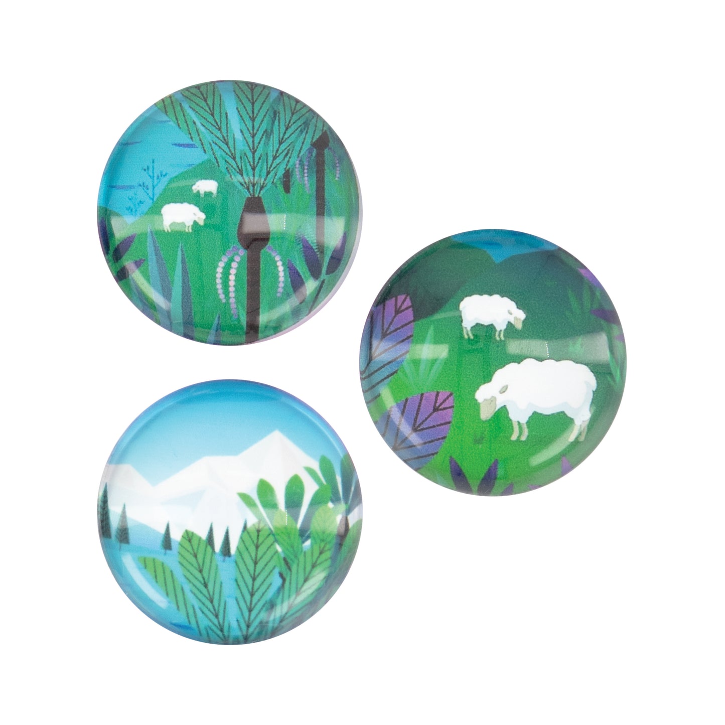 AMSSH - Acrylic Dome Magnet 3PK NZ Scene Sheep