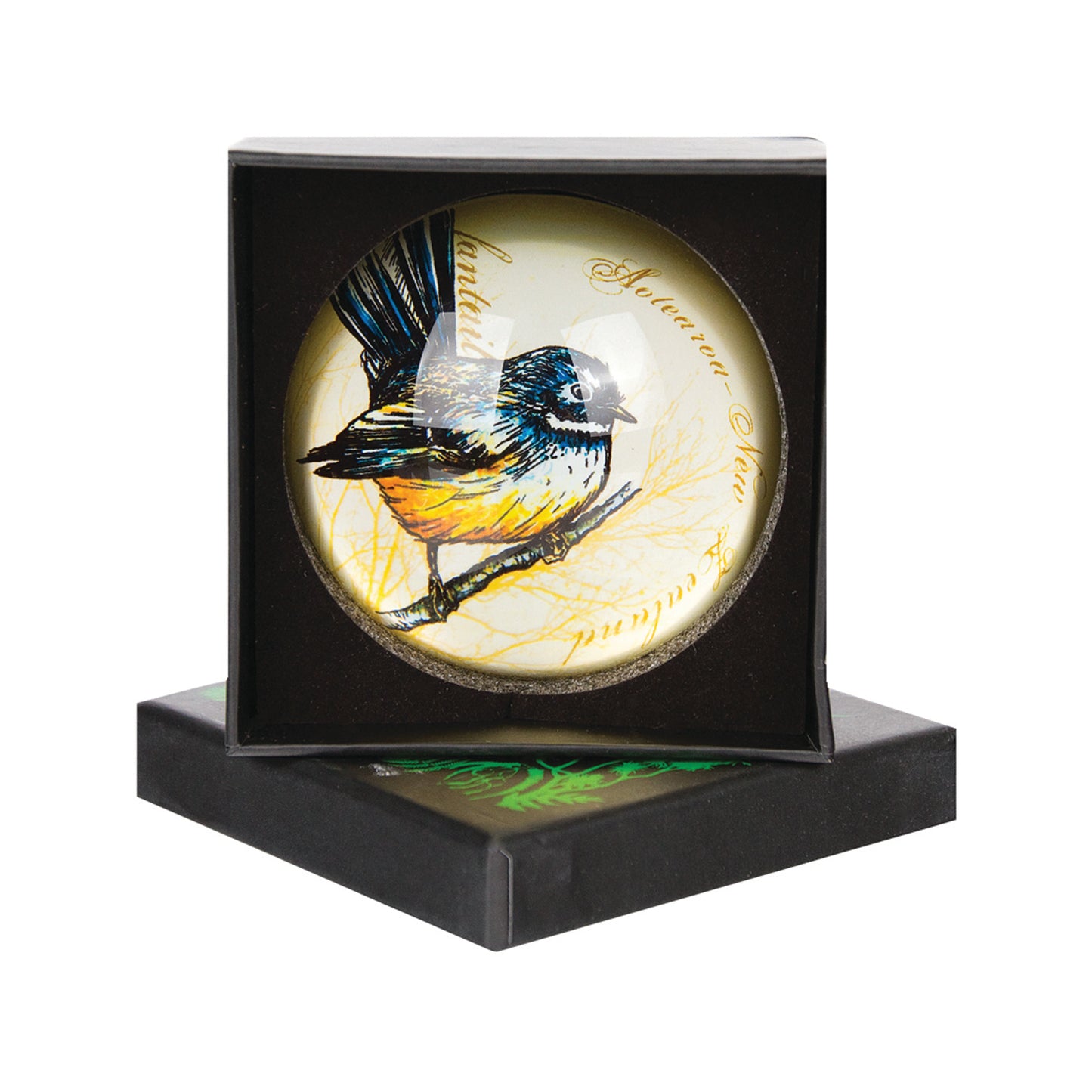 APWLF - Acrylic Paperweight Fantail Large